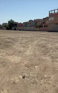 Vente Terrain Alger Ouled chebel