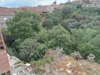 autre-vente-bien-immobilier-tlemcen-chetouane-algerie