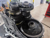 Réparation de boîtes de vitesse du groupe Volkswagen 