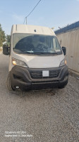 fourgon-fiat-ducato-l2h2-2023-setif-algerie