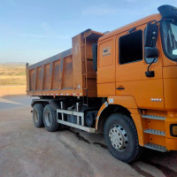 camion-schacman-2016-chlef-algerie