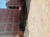 Vente Terrain Jijel Jijel