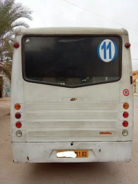 Delta Delta bus 2011