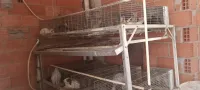 بطارية أرانب 4فوق4 بكامل التجهيزات شرابات  وسهلة التنضيف