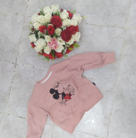 pulls-a-capuche-et-sweatshirts-pull-pour-fille-alger-centre-algerie