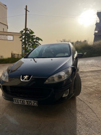 voitures-peugeot-407-2005-annaba-algerie