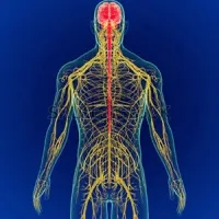 Clinique neurochirurgie / Médecin neurologue / neurochirurgien à domicile / chirurgien neurologie