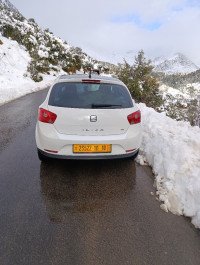 voitures-seat-ibiza-2011-loca-bouira-algerie