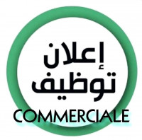 commercial-marketing-offres-demploi-bir-el-djir-oran-algerie