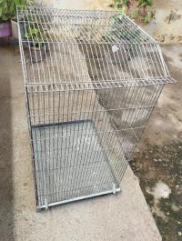 accessoire-pour-animaux-قفص-bourkika-tipaza-algerie