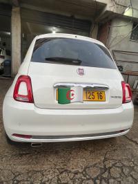 سيارات-fiat-500-2025-hybrid-شراقة-الجزائر