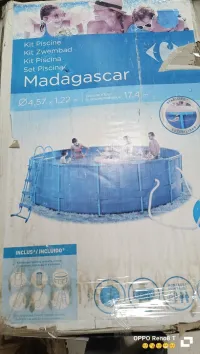 المدية