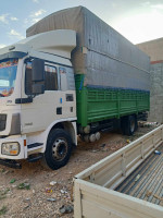 camion-shacman-l3000-2019-birine-djelfa-algerie