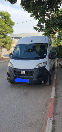 fourgon-fiat-ducato-2024-hraoua-alger-algerie