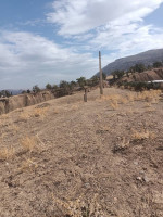 terrain-agricole-vente-constantine-ibn-ziad-algerie