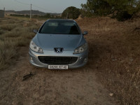 voitures-peugeot-407-2007-algerie