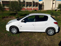 voitures-peugeot-206-plus-2013-alger-centre-algerie