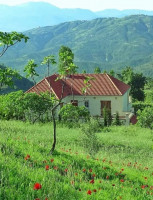 terrain-vente-bejaia-algerie