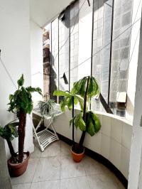Vente Appartement F5 Oran Oran thumbnail 3