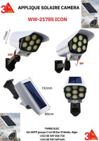 autre-une-lampe-a-energie-solaire-en-forme-de-camera-surveillance-dar-el-beida-alger-algerie