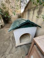 autre-niche-pour-grand-chien-reghaia-alger-algerie