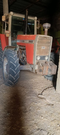 tracteurs-massey-ferguson-1983-khenchela-algerie