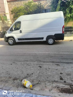 automobiles-vehicules-fiat-ducato-2024-22-hdi-mahdia-tiaret-algerie