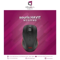 Souris sans fil HV-MS849WB
