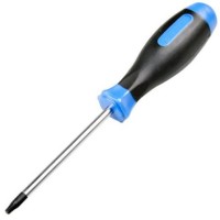 tournevis Torx T25 x 100 mm