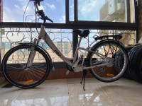 articles-de-sport-velo-electrique-easy-bike-e100-mahelma-alger-algerie