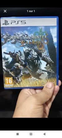 Monster hunter wilds
