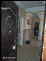 appartement-vente-f3-ain-temouchent-algerie