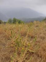 terrain-vente-tizi-ouzou-beni-yenni-algerie