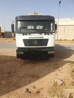 camion-shacman-2009-tiaret-algerie