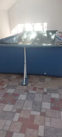 Piscine intex 