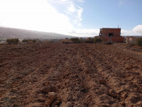 terrain-vente-relizane-mazouna-algerie