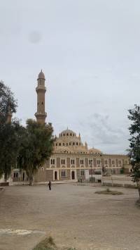 محل-بيع-المسيلة-بوسعادة-الجزائر