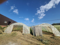 equipement-agricole-بيوت-بلاستيكية-el-kennar-nouchfi-jijel-algerie