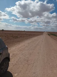 Vente Terrain Agricole Djelfa Tadmit