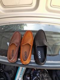 Mocassin