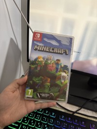 video-games-minecraft-nintendo-annaba-algeria