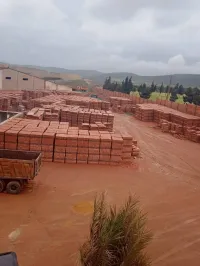 Vente Hangar Oran Sidi benyebka