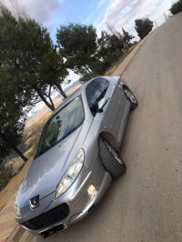 voitures-peugeot-407-2005-medea-algerie