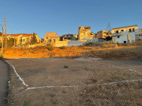 terrain-vente-tipaza-fouka-algerie