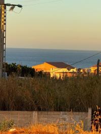 terrain-vente-tipaza-fouka-algerie