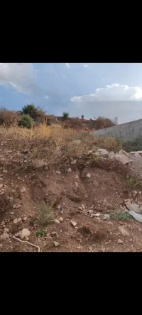 Vente Terrain Mila Mila