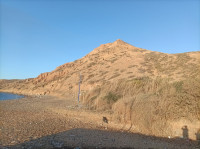 terrain-vente-ain-temouchent-oulhaca-el-gheraba-algerie