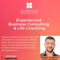 Etudes téchnico-économiques, Business plan, business consulting et coaching 