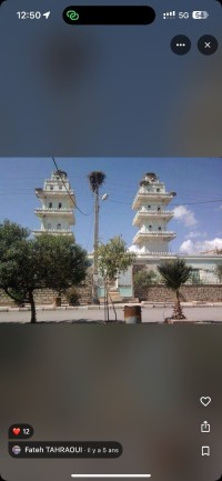 terrain-vente-bordj-bou-arreridj-el-achir-algerie