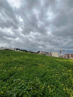 land-sell-alger-ouled-fayet-algeria